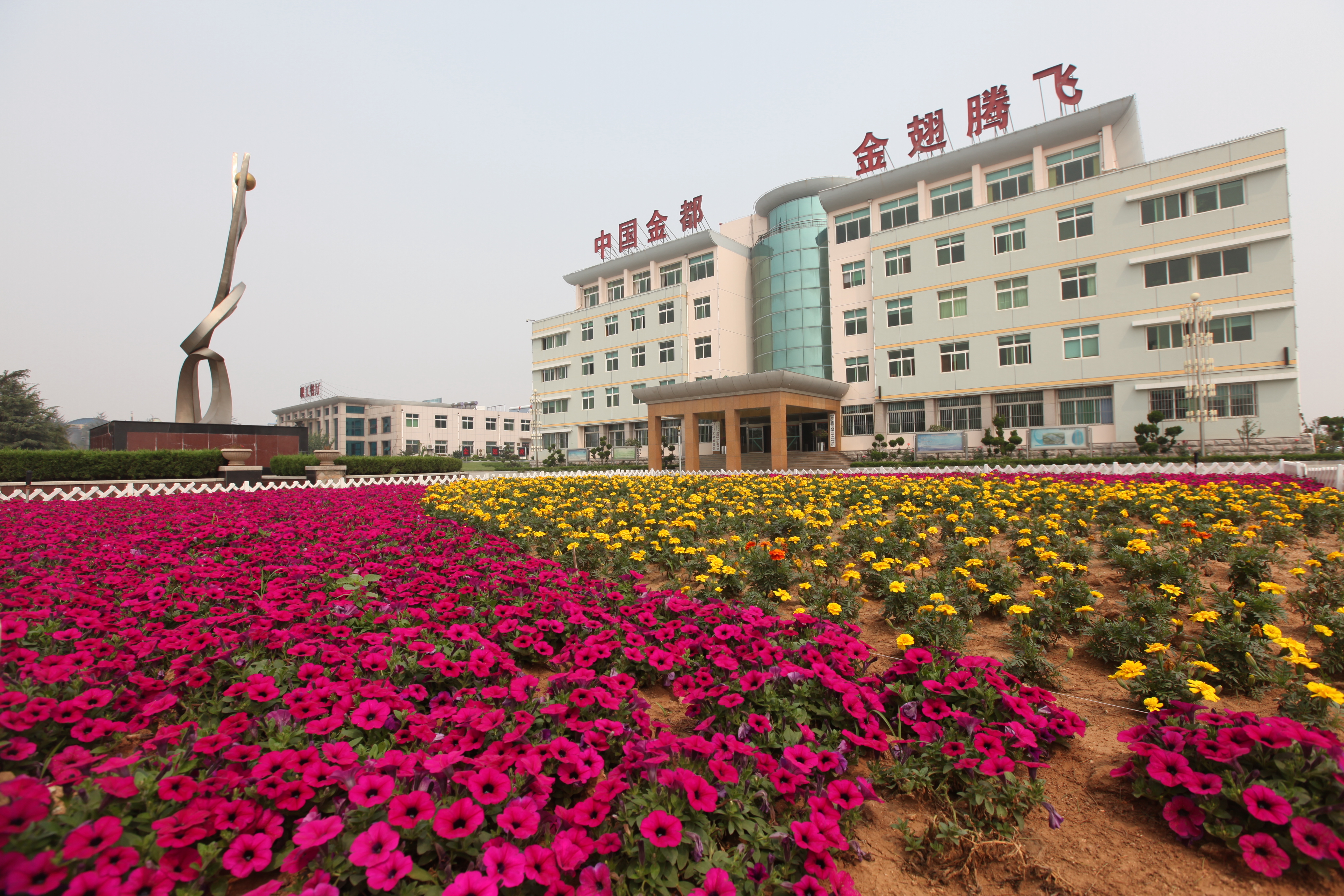 1739798900337054727.jpg ½ð³áÁë½ð¿ó´ó¾°.jpg