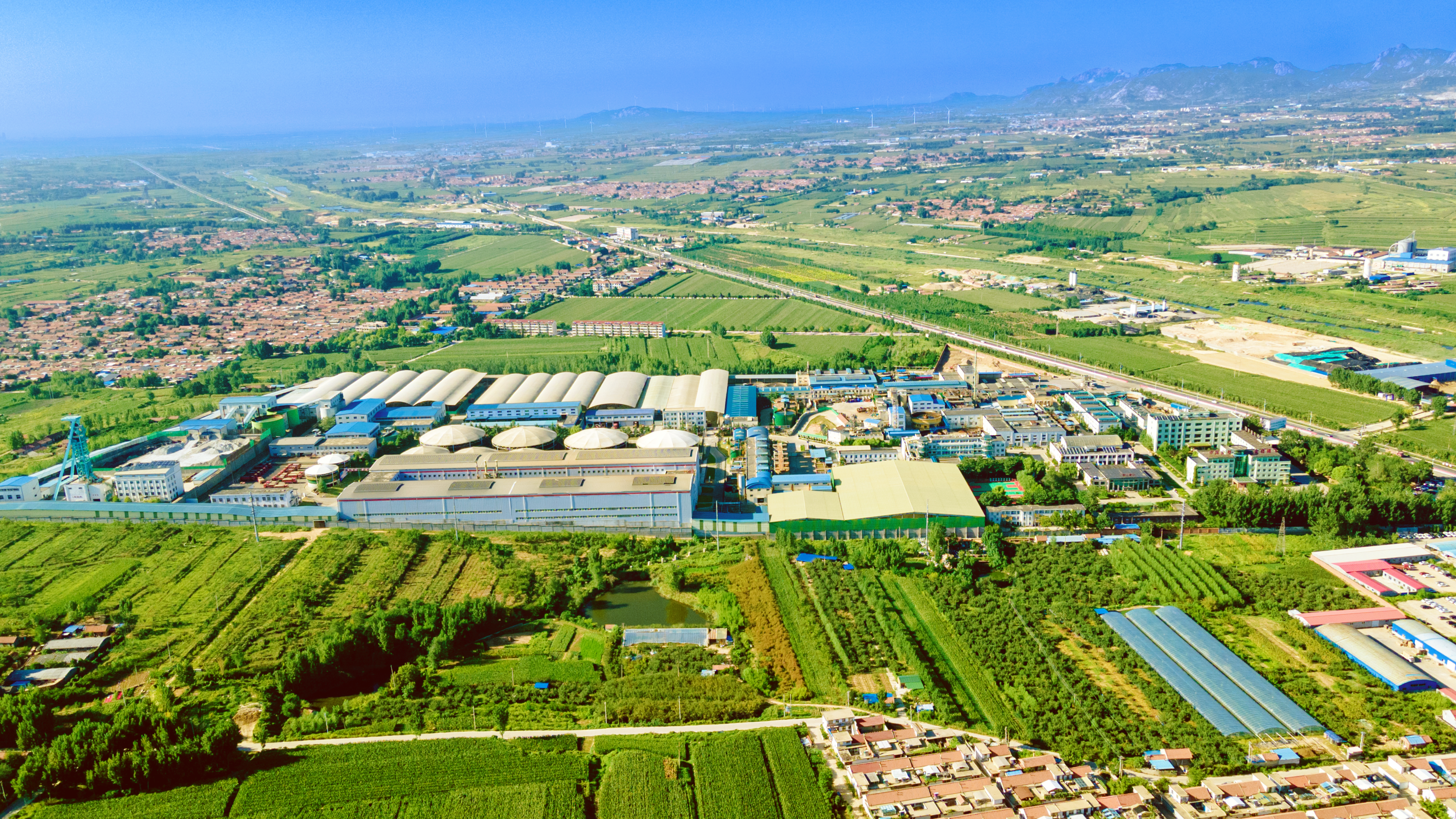 1745479232176066879.png 9-½ð³áÁë½ð¿ó.png